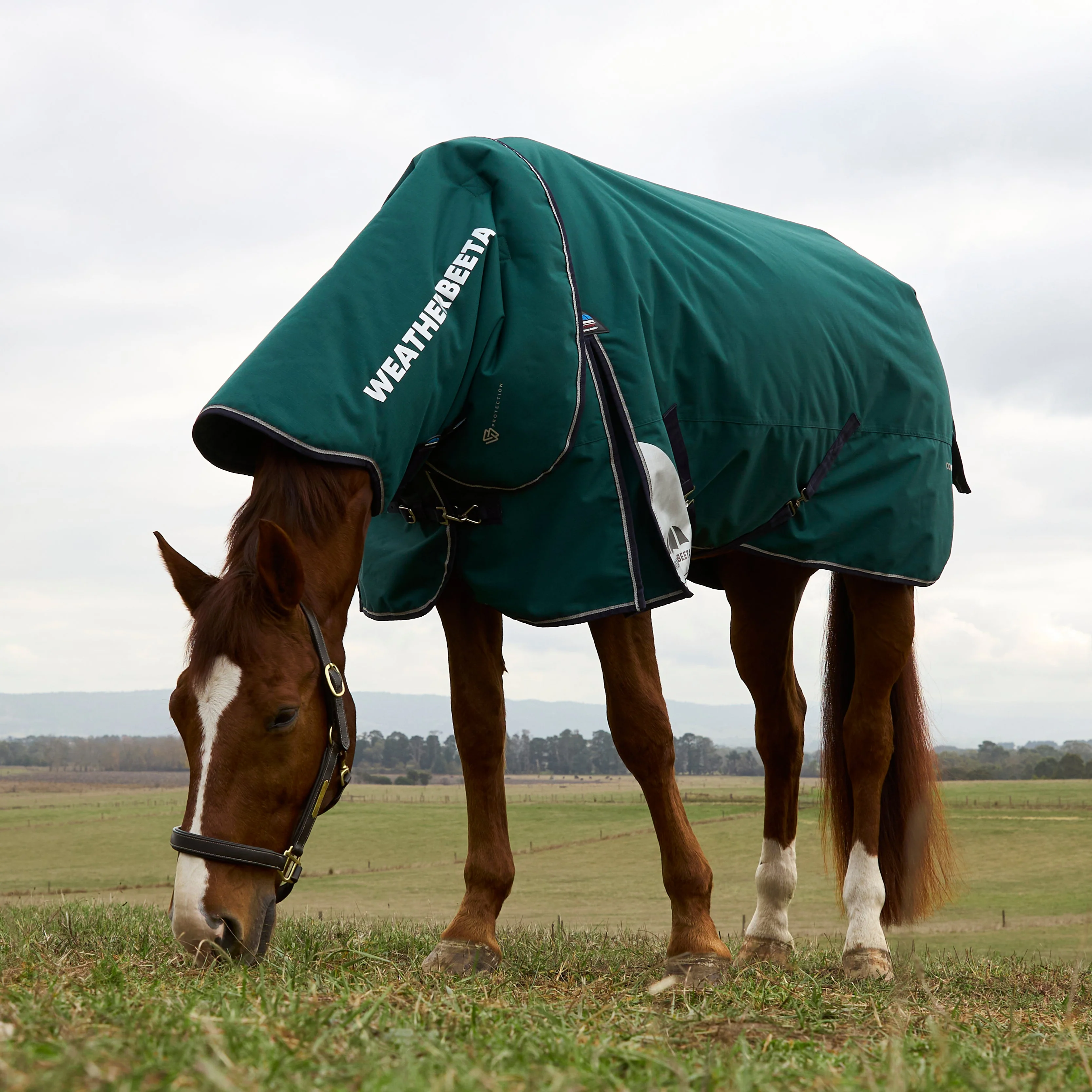 Weatherbeeta Comfitec Plus Dynamic 100G Detach-A-Neck Turnout - Image 2