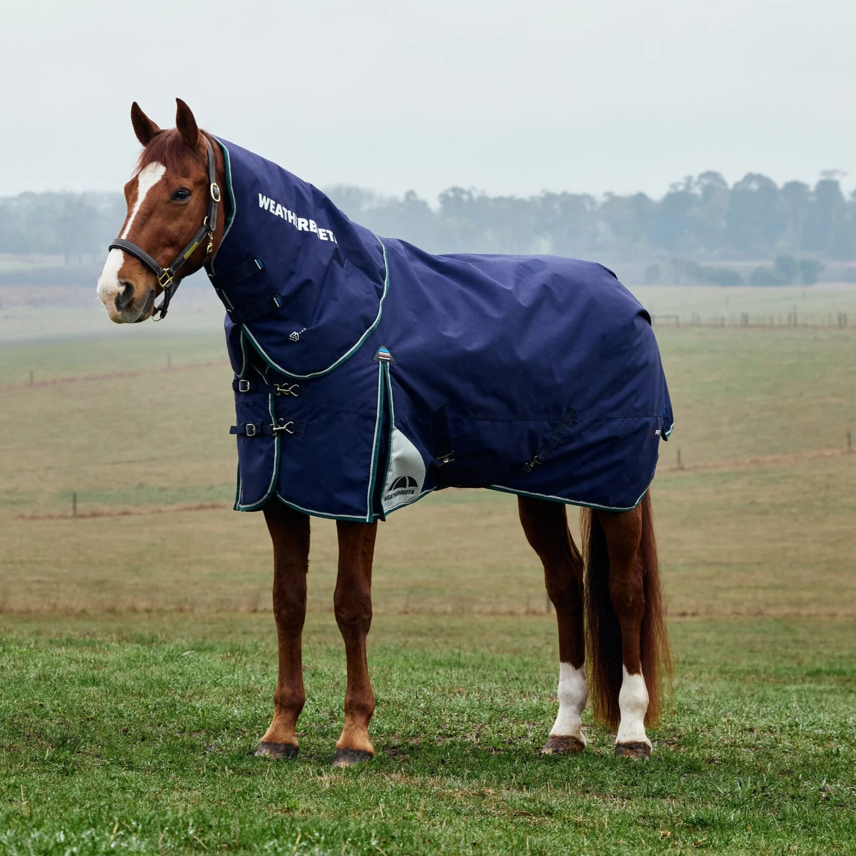 Weatherbeeta Comfitec Plus Dynamic 220G Detach-A-Neck Turnout - Image 12