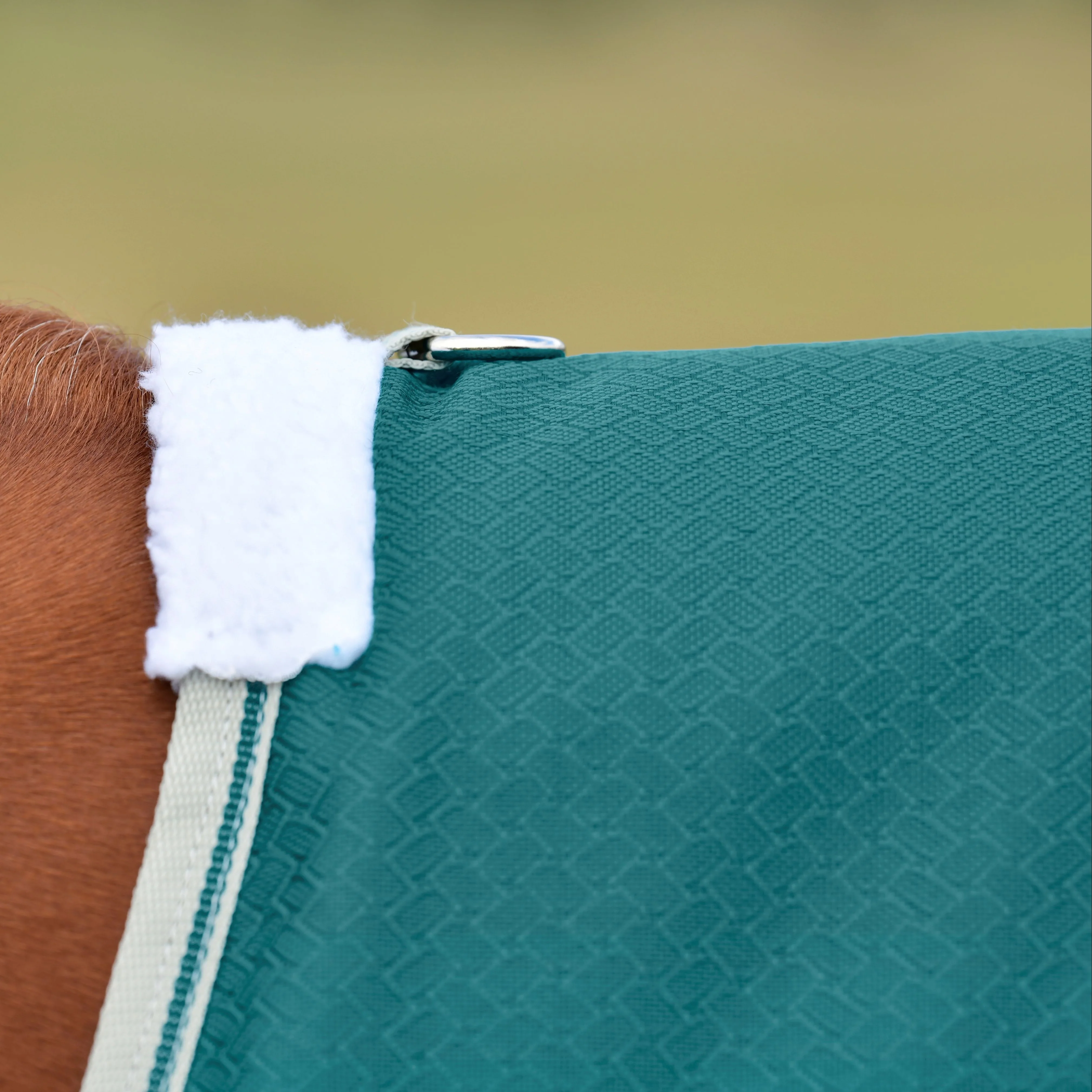 Weatherbeeta Comfitec Plus Dynamic II Standard Neck Lite - Image 3