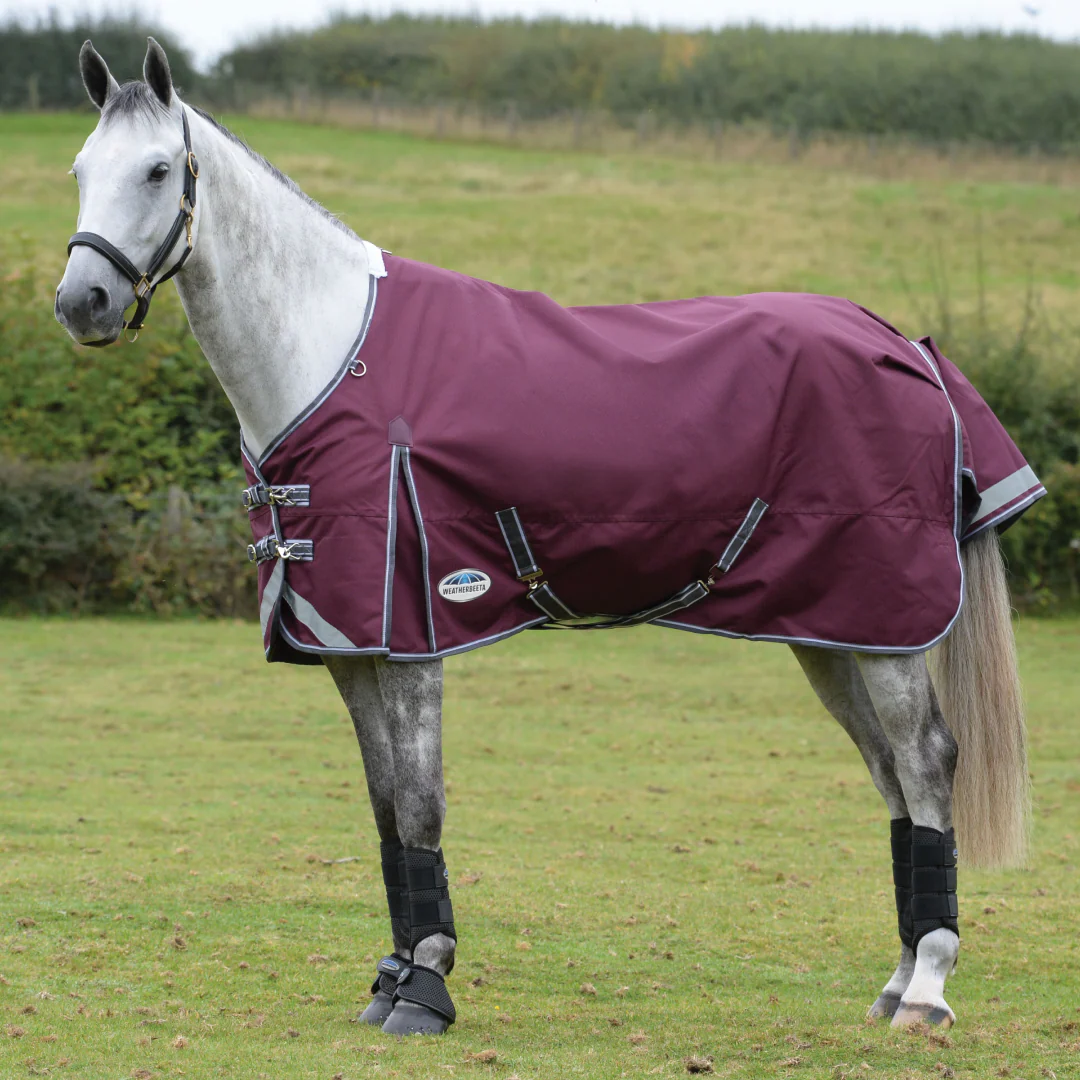 Weatherbeeta Comfitec Plus Dynamic II Standard Neck Medium