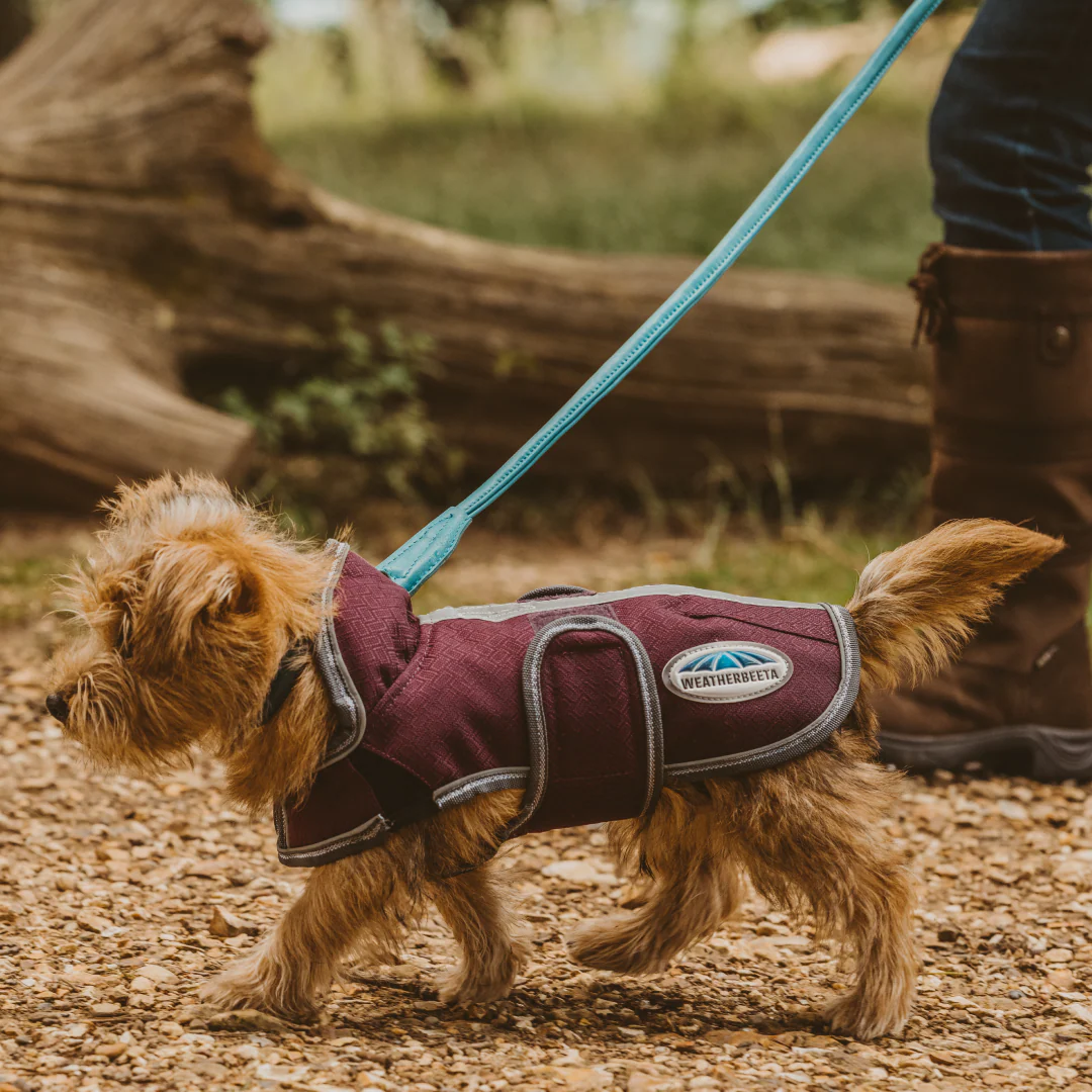 Weatherbeeta Comfitec Premier Free Parka Deluxe Dog Coat Medium - Image 6