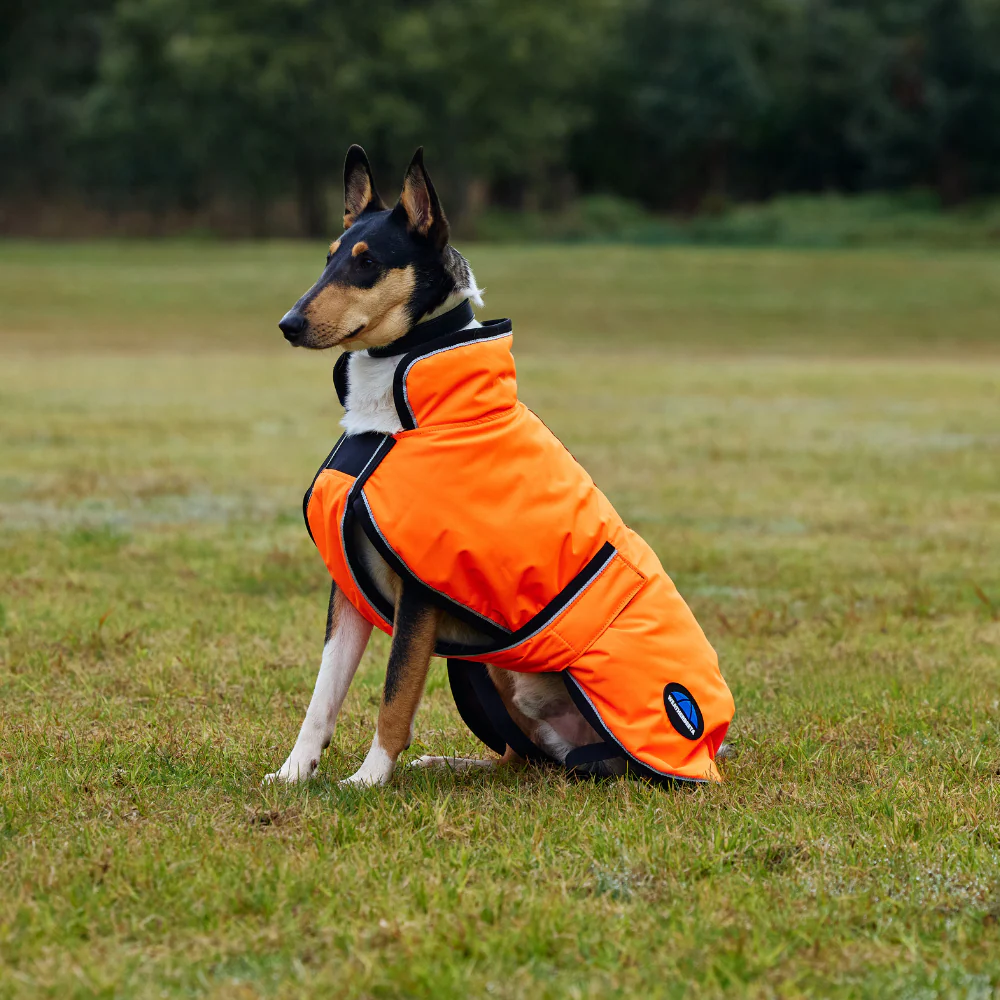 Weatherbeeta Comfitec Reflective 300D Deluxe Showerproof Dog Coat - Image 3