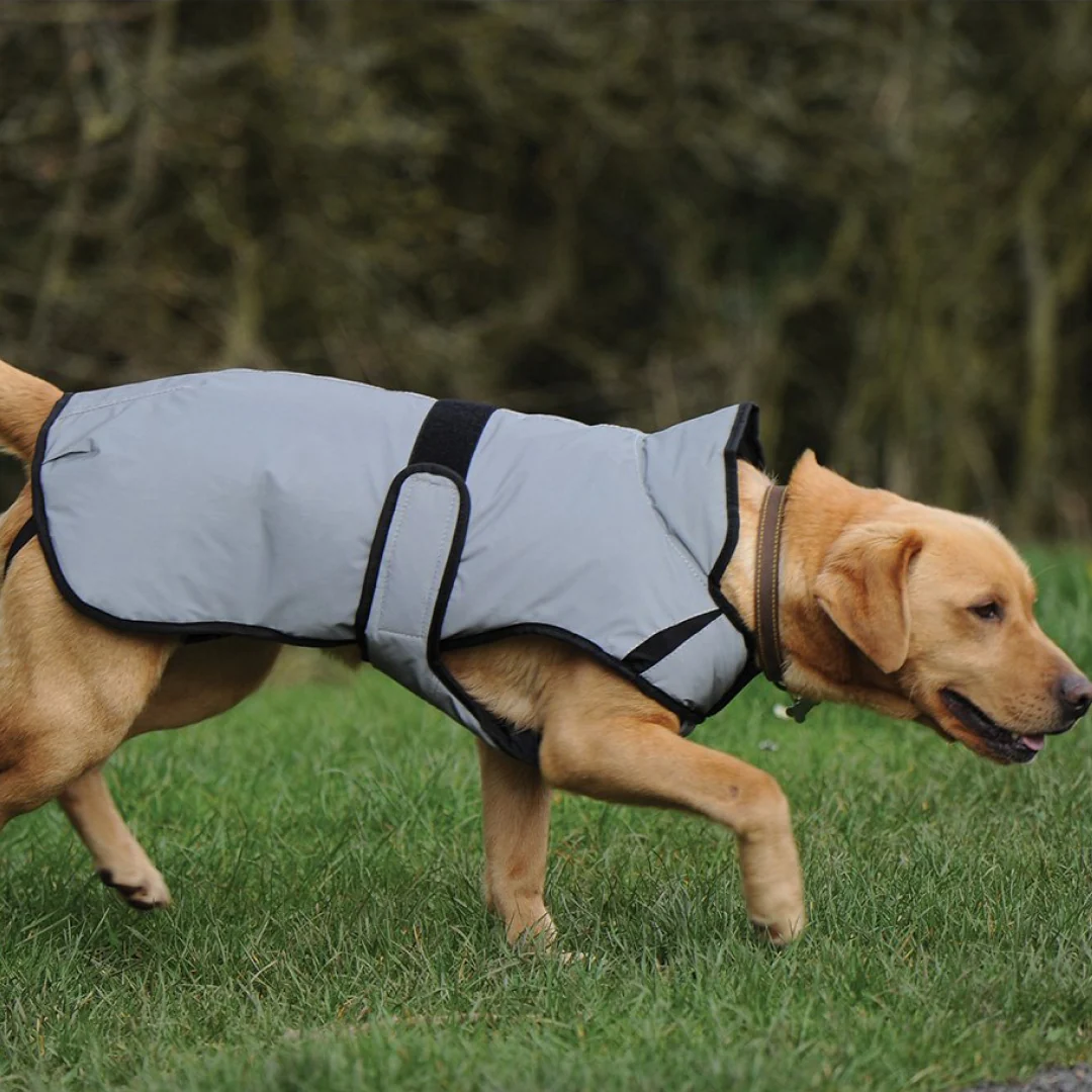 Weatherbeeta Comfitec Reflective Dog Coat Medium - Image 4