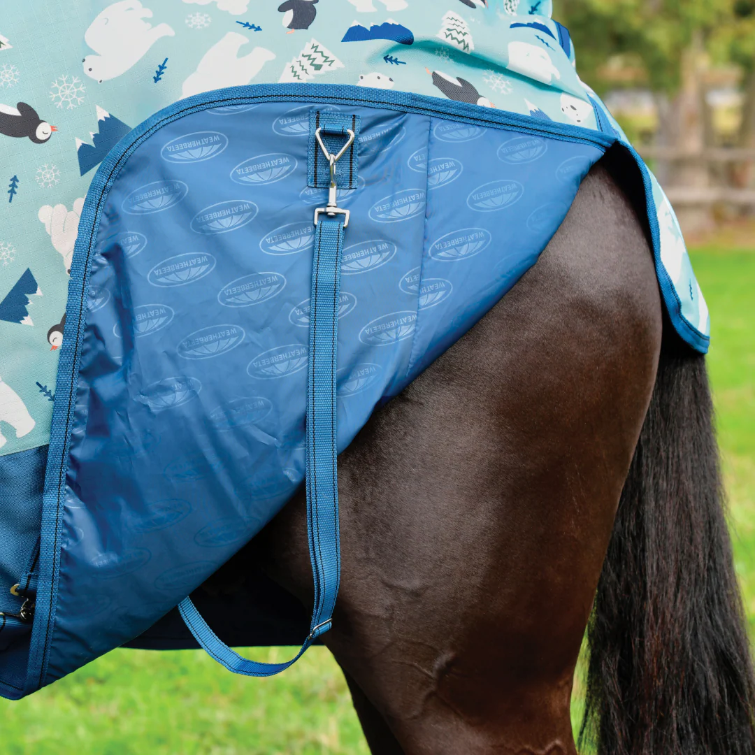 Weatherbeeta ComFiTec Essential Standard Neck Medium Turnout - Image 5