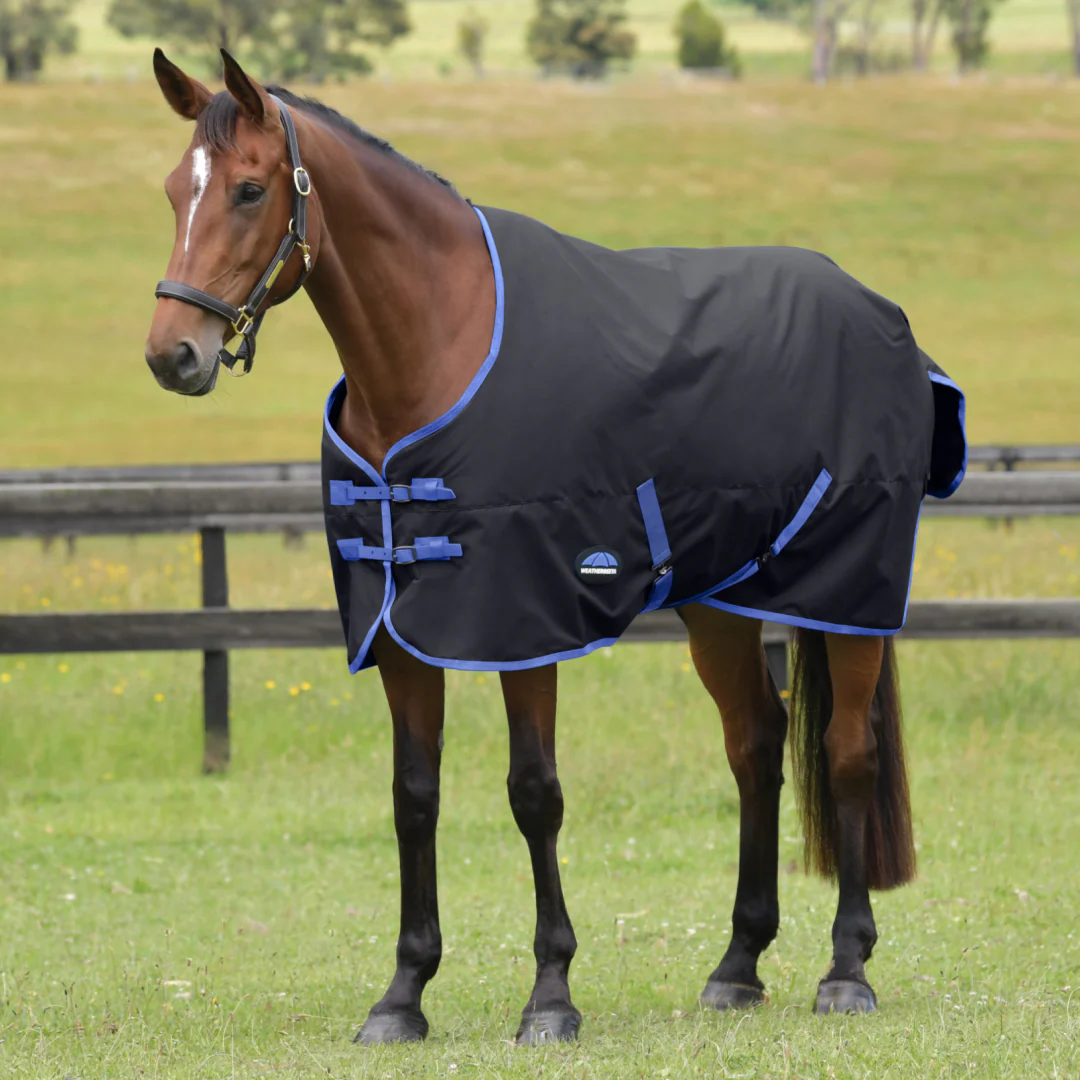 Weatherbeeta Comfitec Tyro 220G Standard Neck Turnout