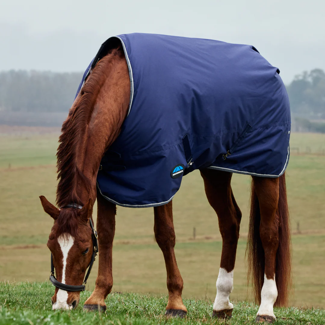 Weatherbeeta Comfitec Tyro 50G Standard Neck Turnout - Image 2