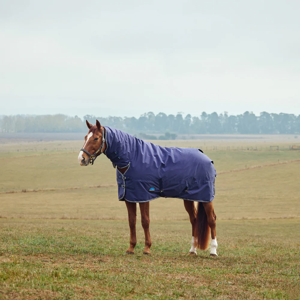 Weatherbeeta Comfitec Tyro 360G Combo Neck Turnout