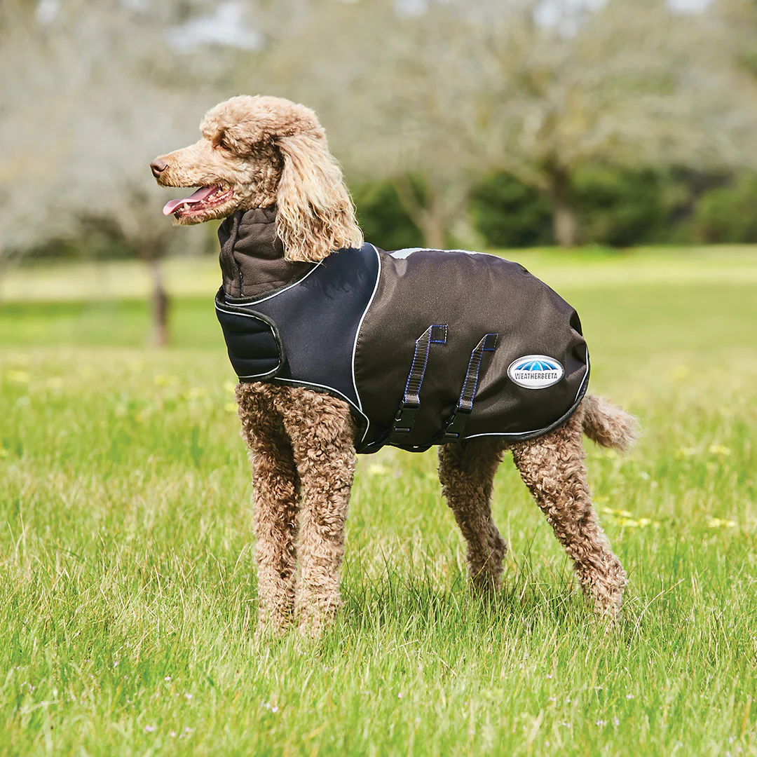 Weatherbeeta Comfitec Ultra Cozi Dog Coat Medium/Lite - Image 2