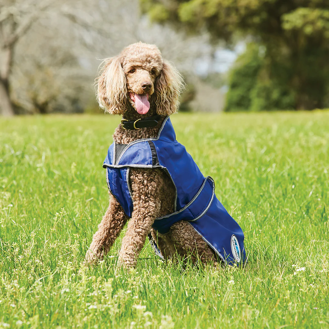 Weatherbeeta Comfitec Windbreaker Free Parka Deluxe Dog Coat - Image 7