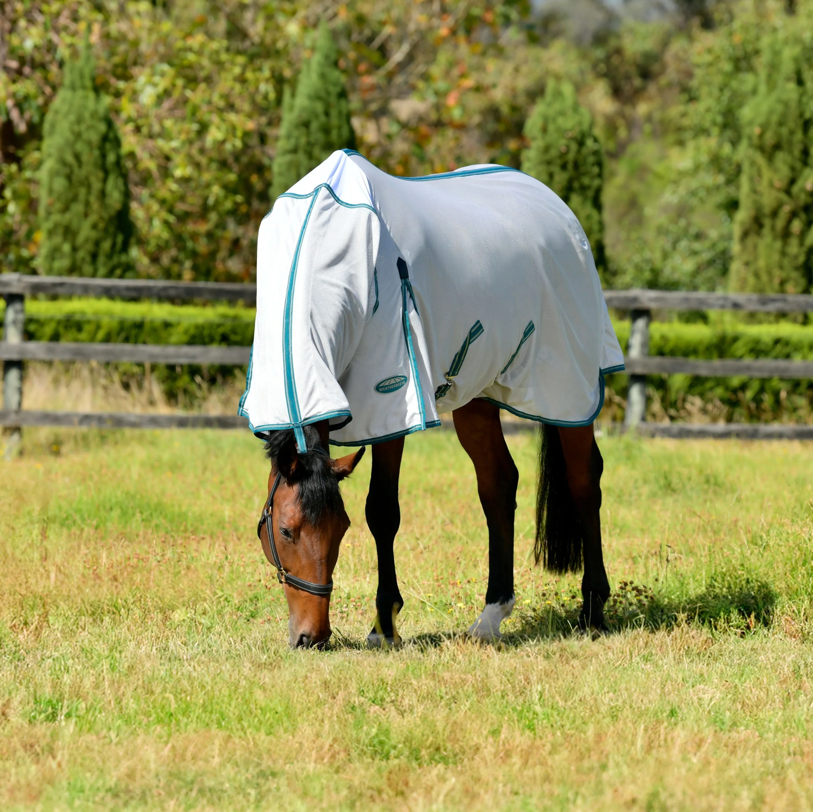 Weatherbeeta Comfitec Zephyr Plus Mesh Combo Neck - Image 12