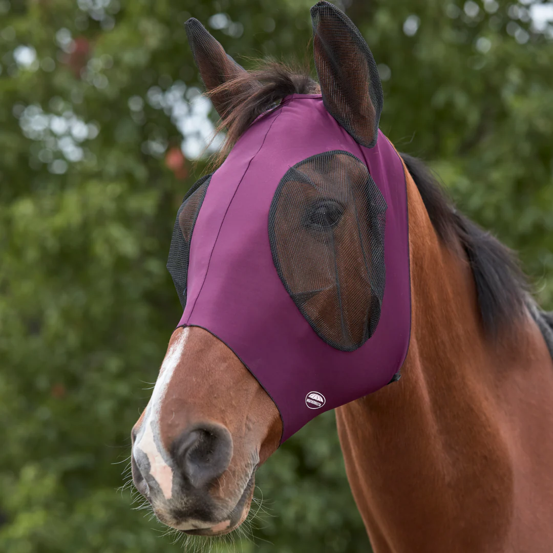 Weatherbeeta Deluxe Stretch Bug Eye Saver With Ears - Image 10