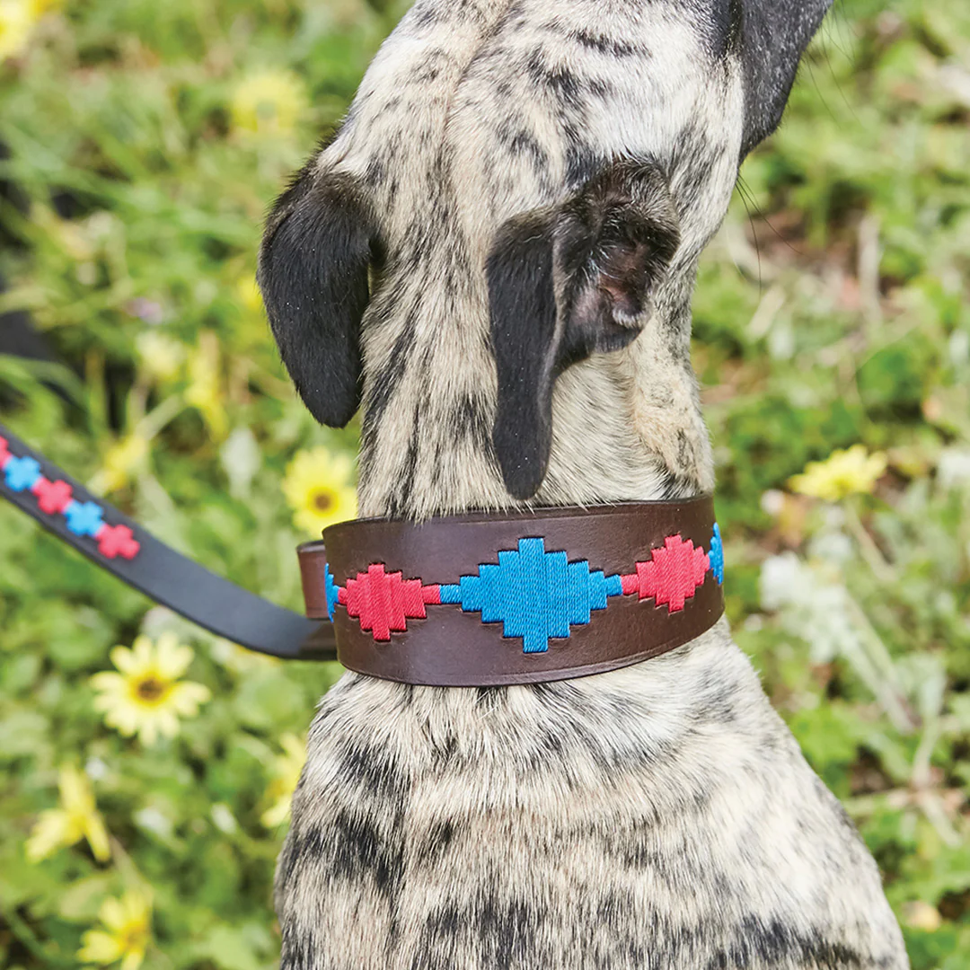 Weatherbeeta Lurcher Polo Leather Dog Collar - Image 2