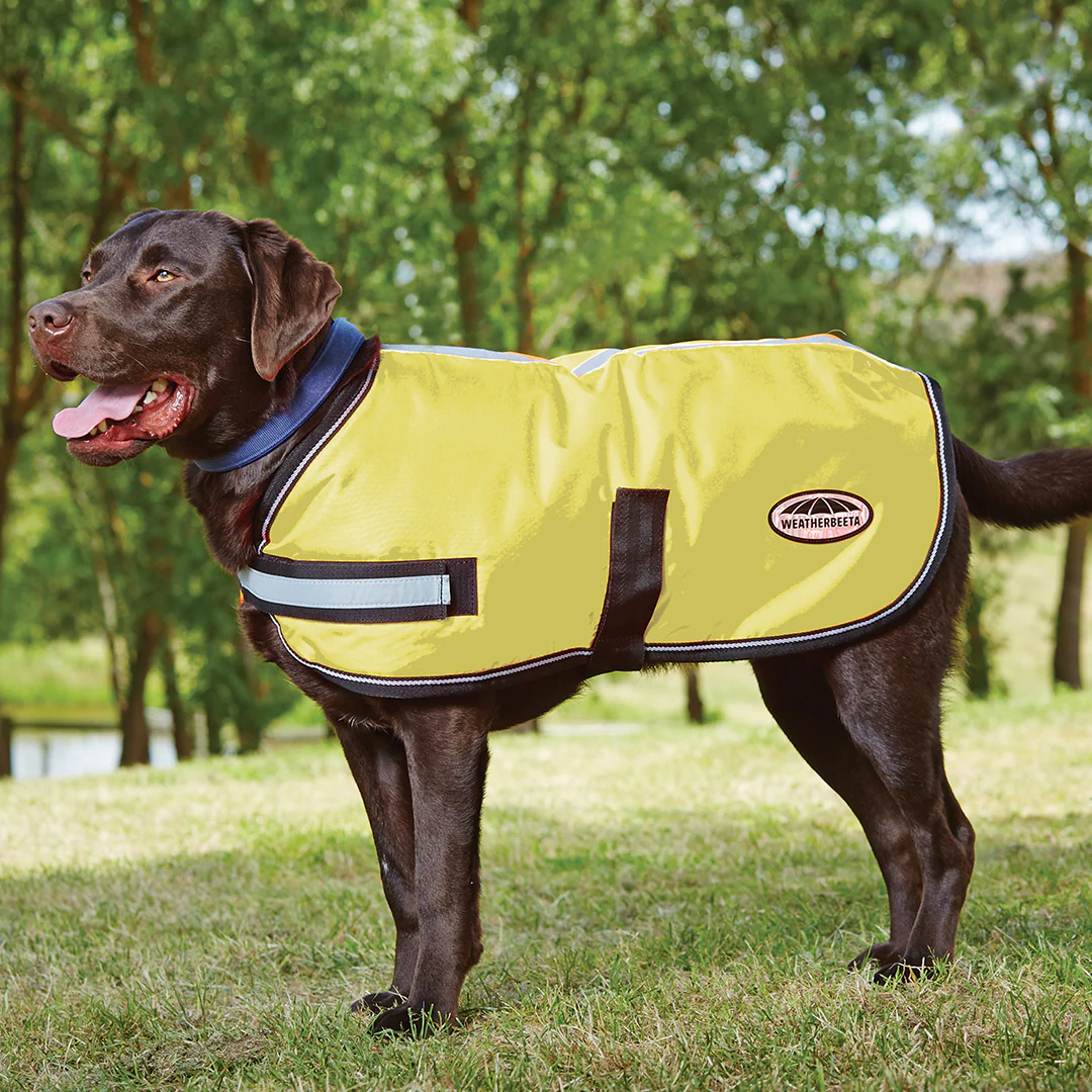 Weatherbeeta Reflective Parka 300D Dog Coat - Image 4