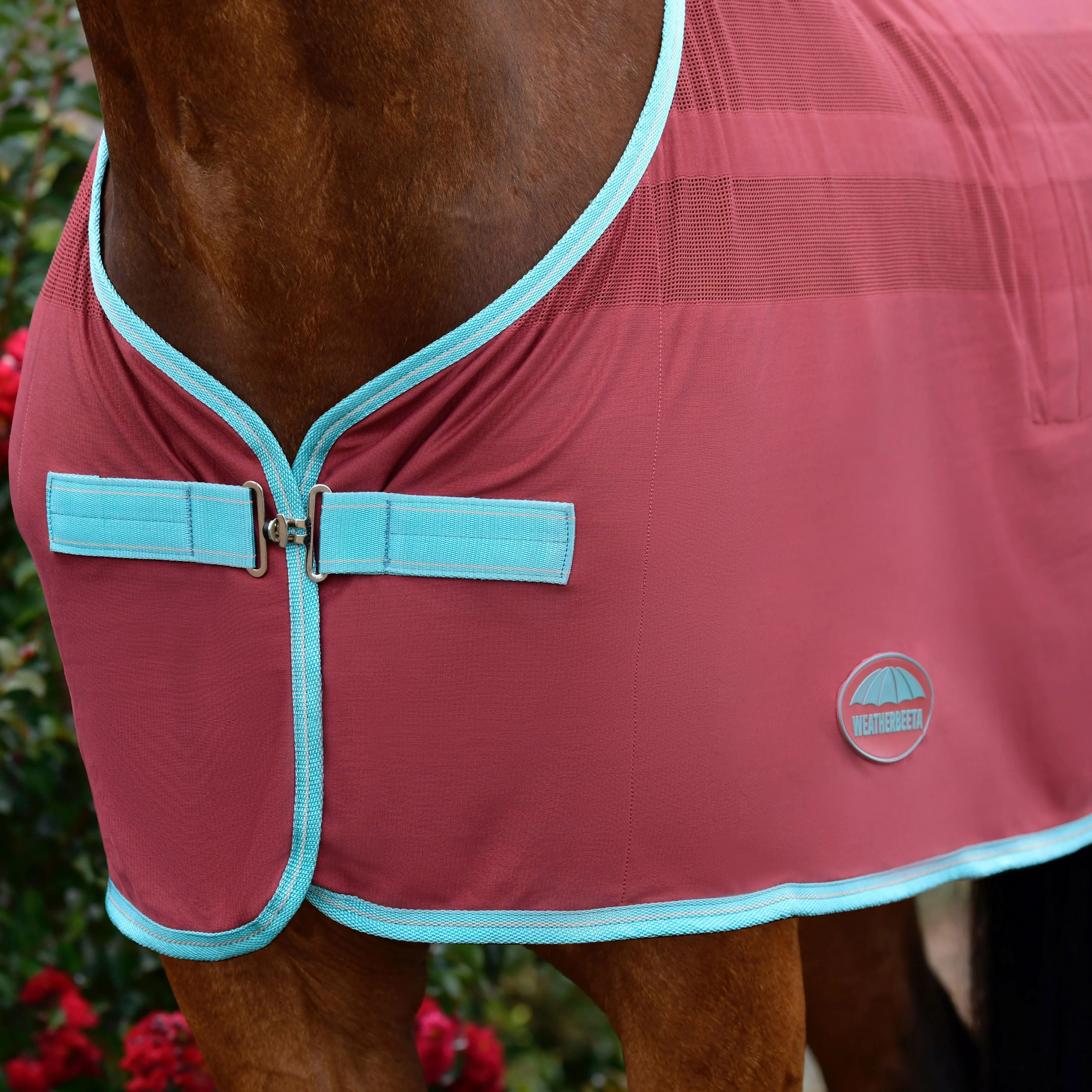 Weatherbeeta Scrim Cooler Standard Neck - Image 2