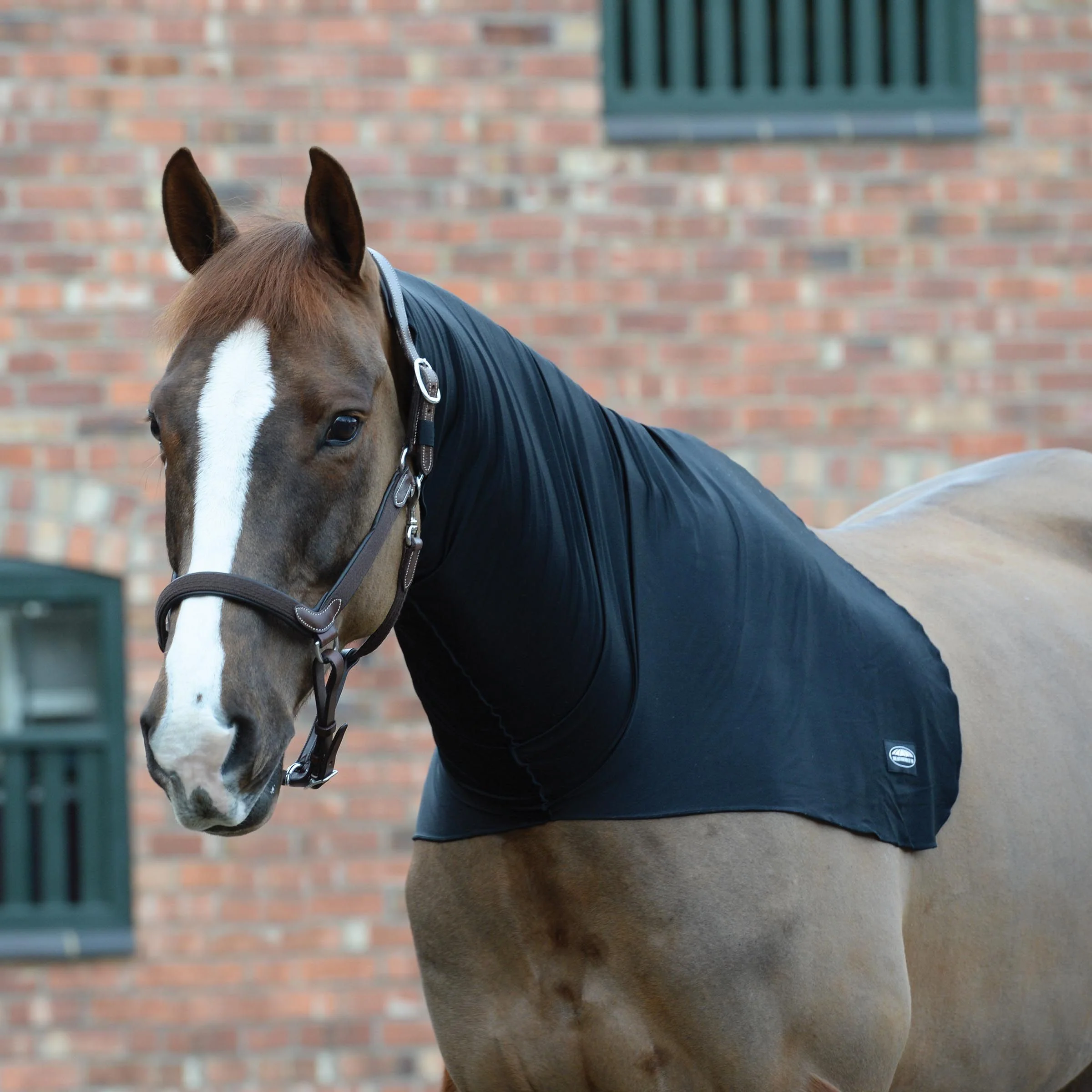 Weatherbeeta Stretch Neck Rug