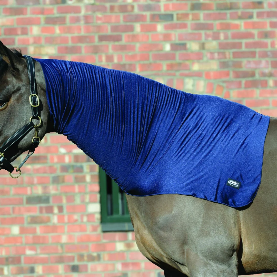 Weatherbeeta Stretch Neck Rug - Image 2