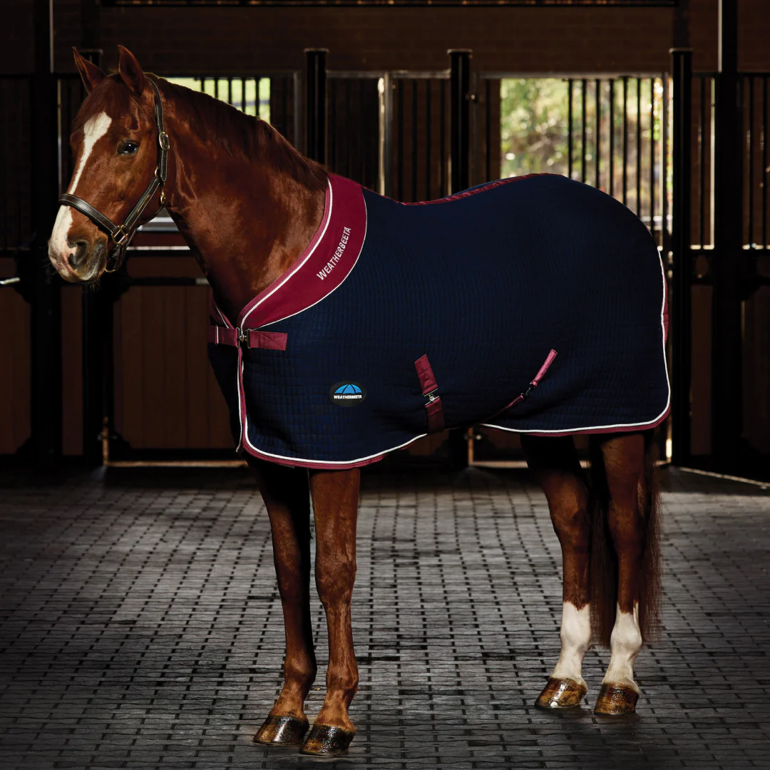 Weatherbeeta Thermocell Cooler Standard Neck