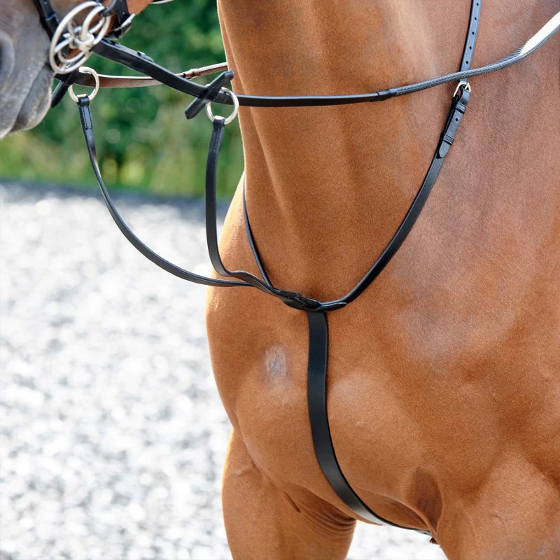 Whitaker Barton Martingale