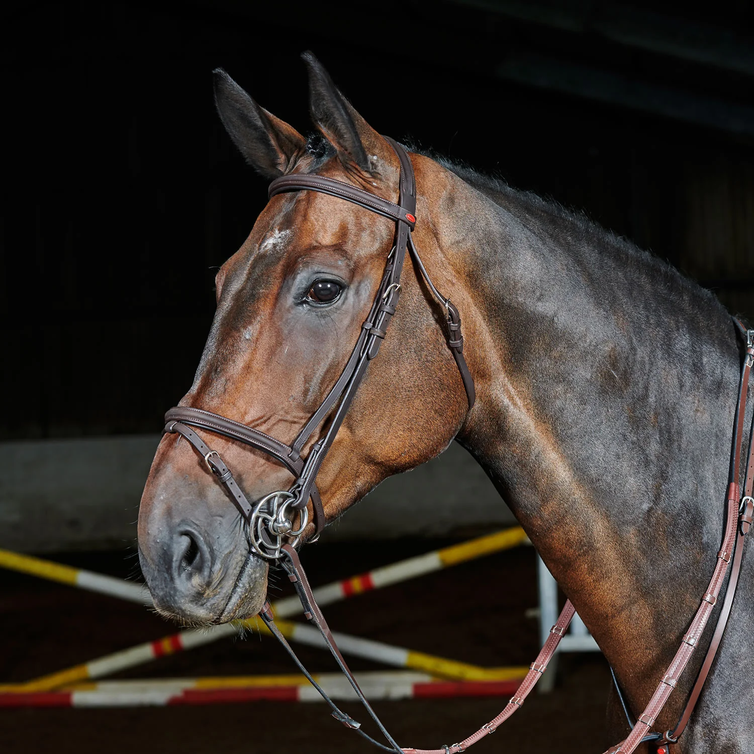 Whitaker Ready To Ride Flash Bridle - Image 2