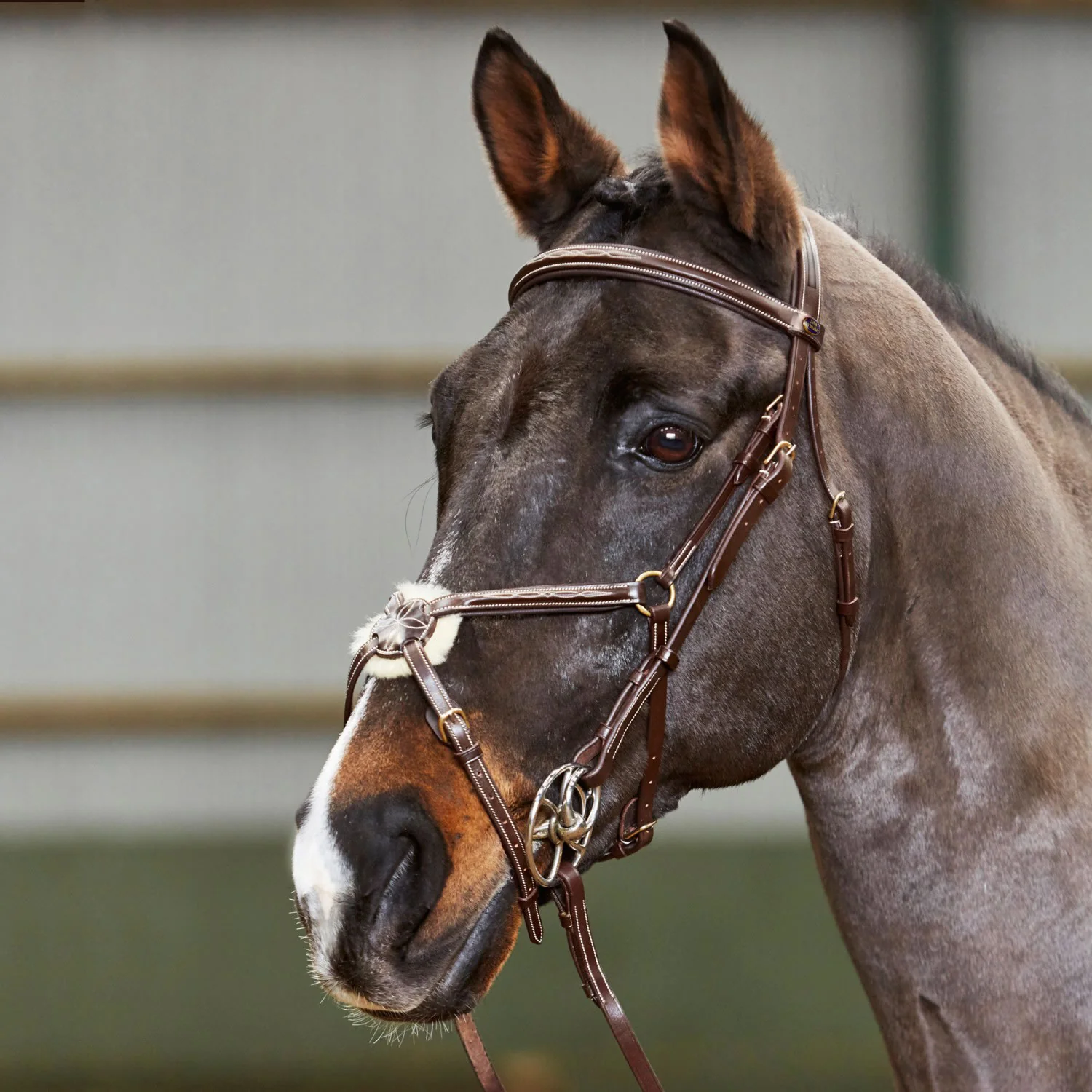Whitaker Valencia Delux Mexican Bridle With Reins - Image 2