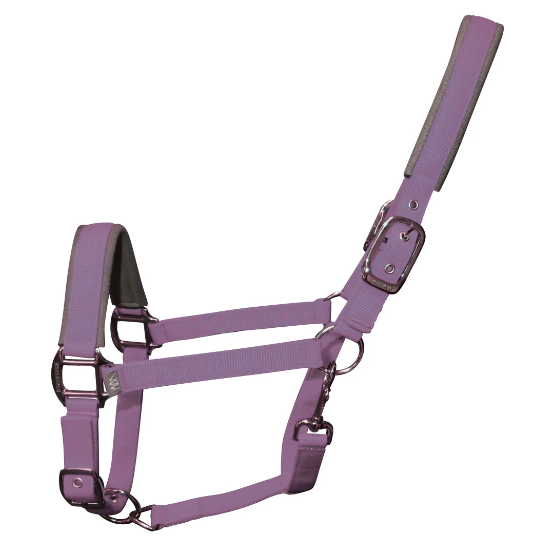 Woof Wear Colour Fusion Contour Headcollar - Image 2